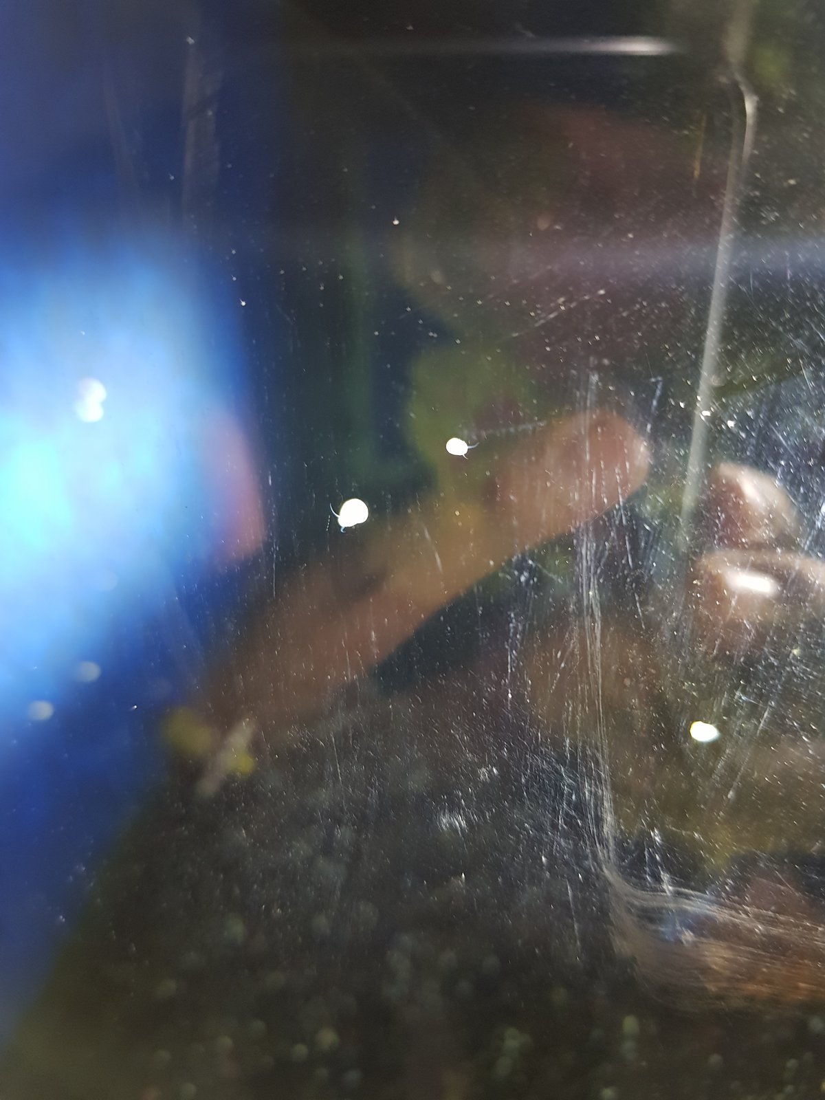 20180812_212018.