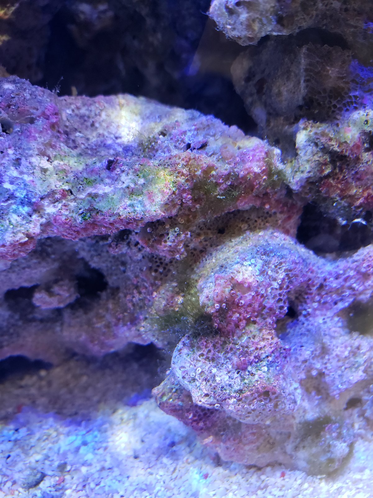 20181004_130036.