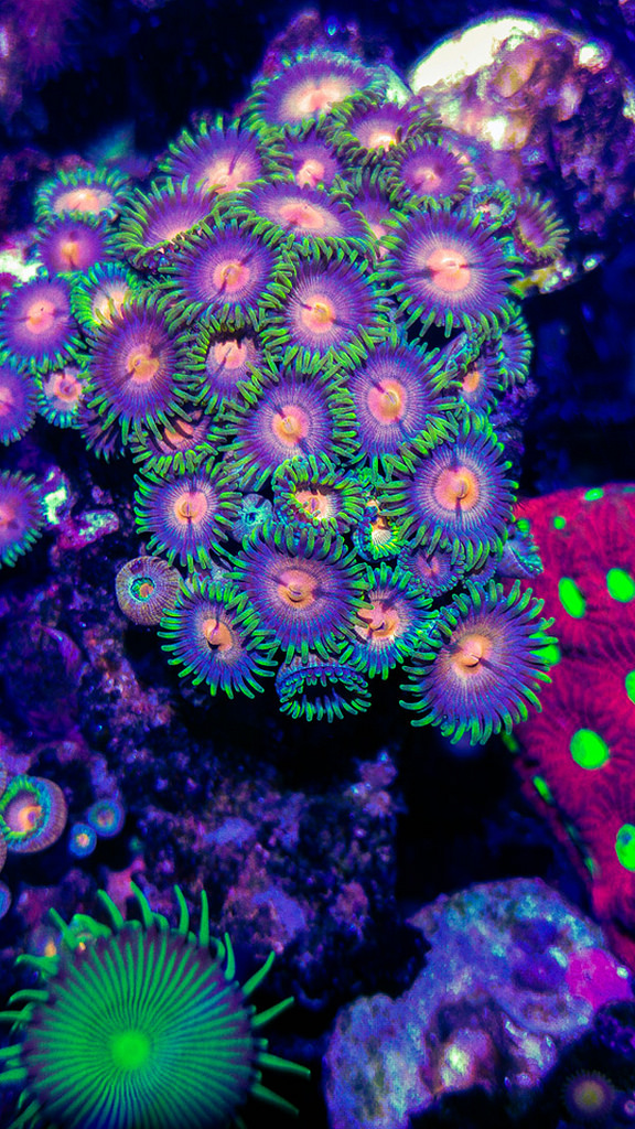 26960317342_18163aaed2_b.