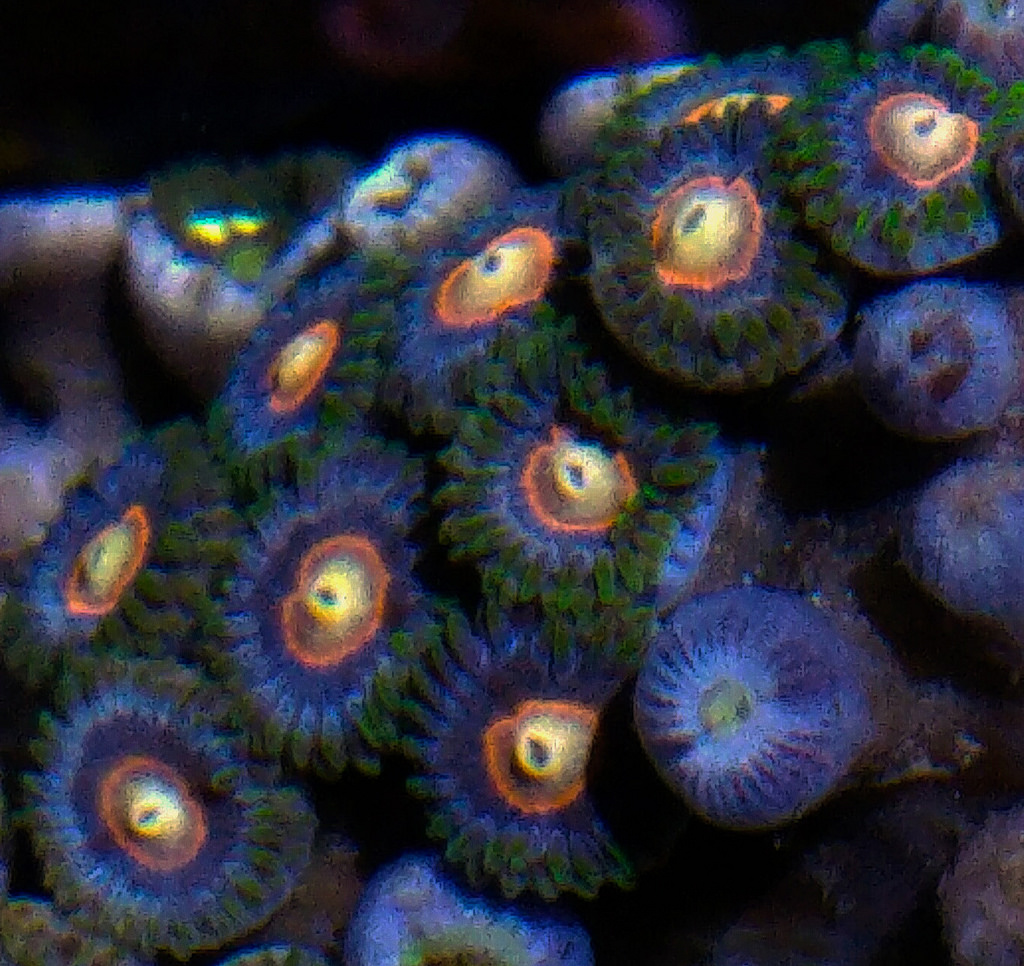 28704238685_9e416dac28_b.