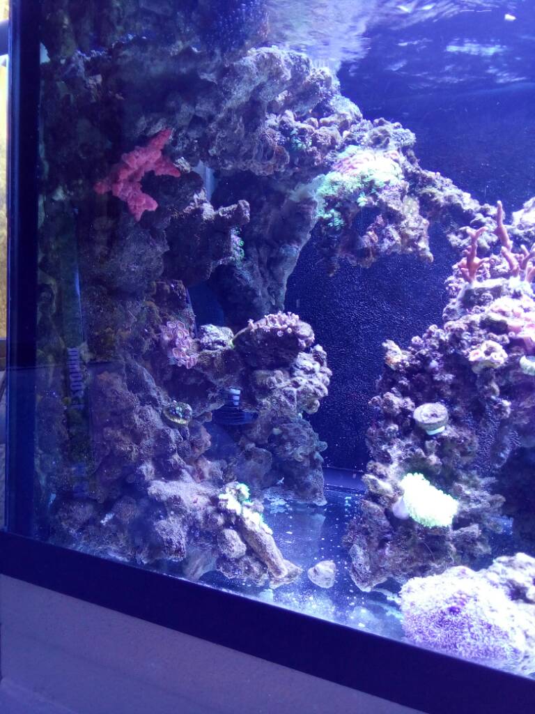 43f2cffea7825eb38a0538373cc7bcdd.