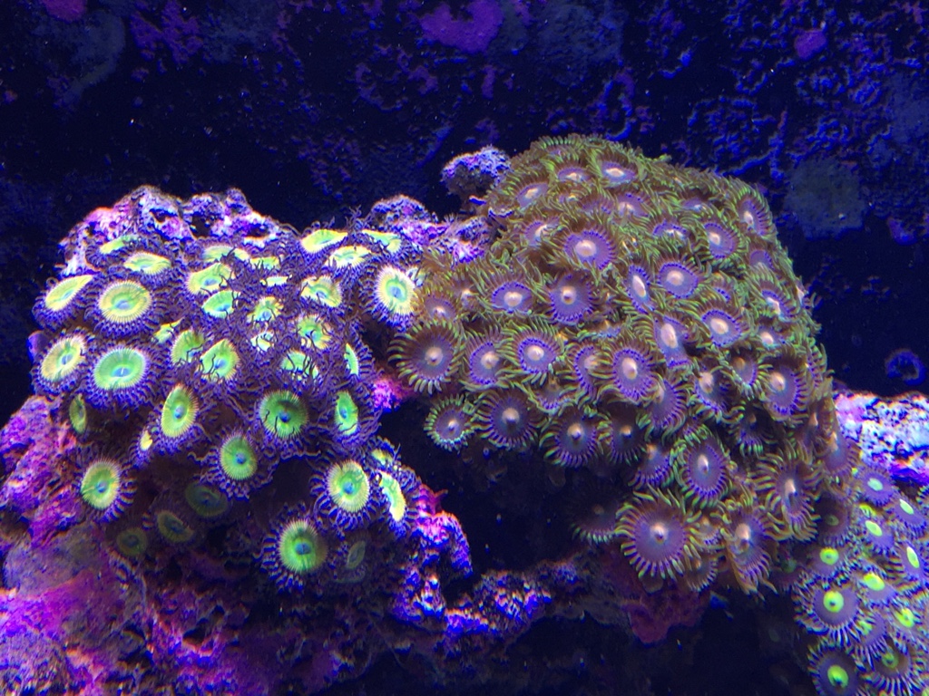 473.