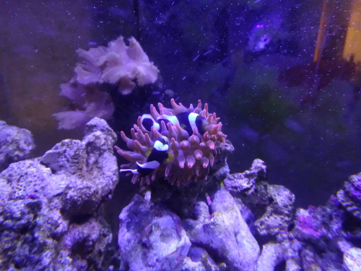 53.