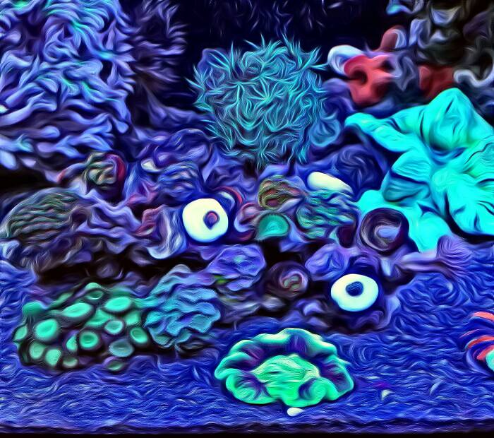 5e398277c16baa409cf67e31e0a157e5.