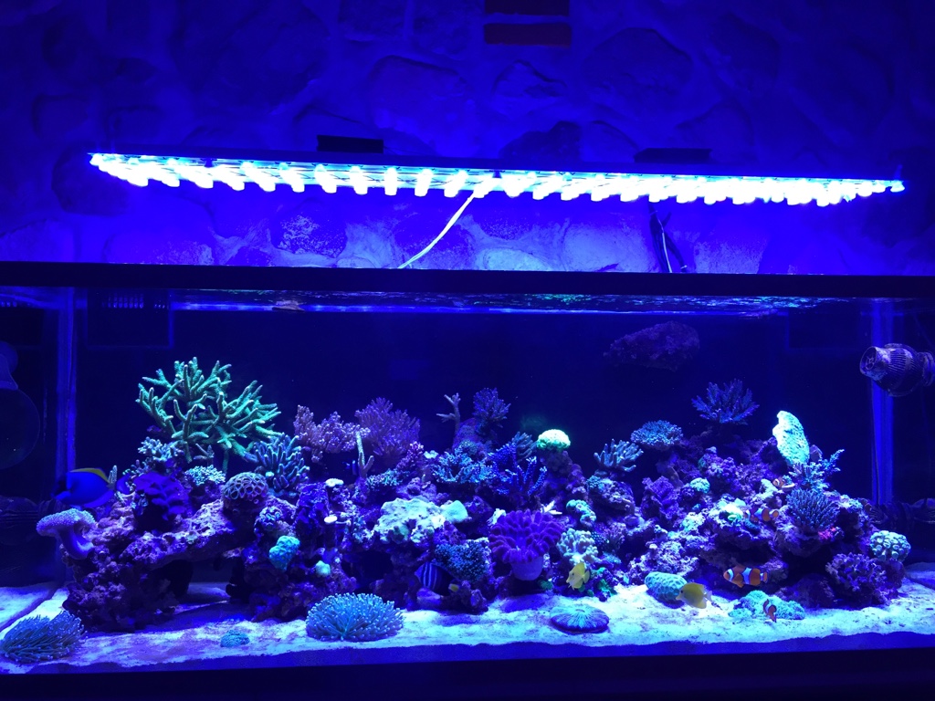 87.