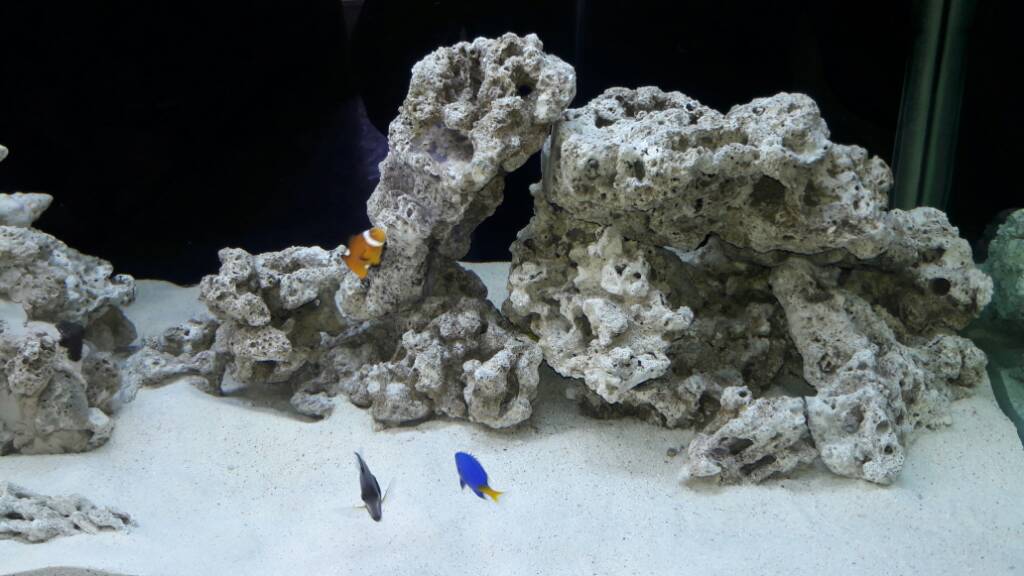 8ef0ada77e905c40a8ff4ac0e6aa6ff2.