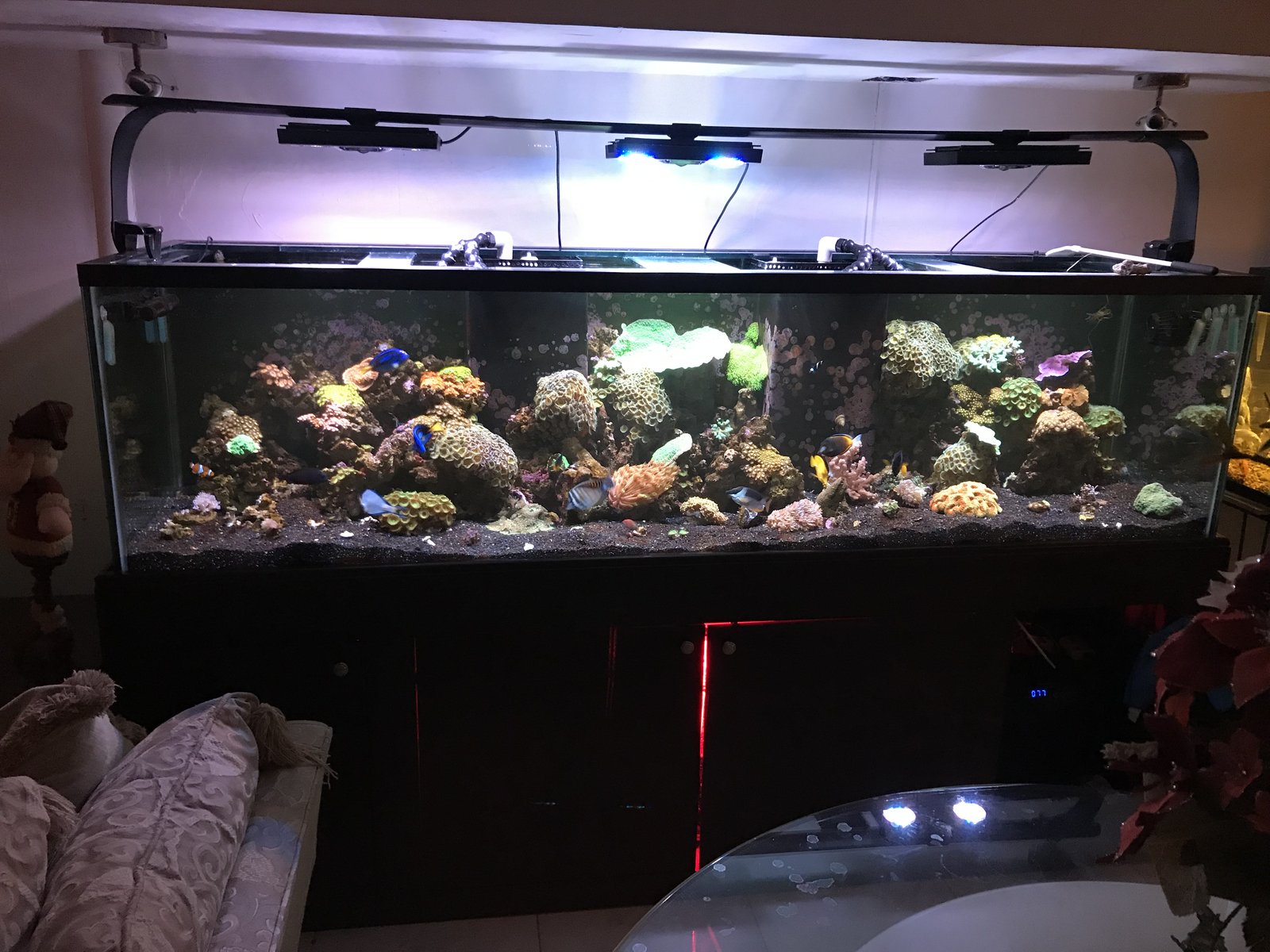 acuario dic2018 foto de frente.