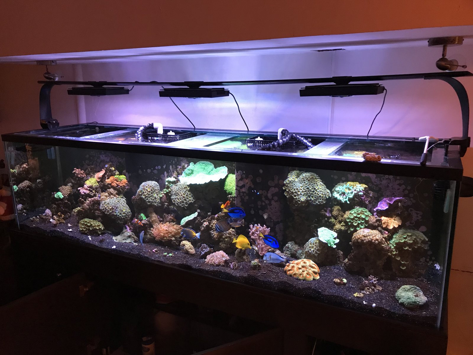 acuario dic2018 foto de frente2.