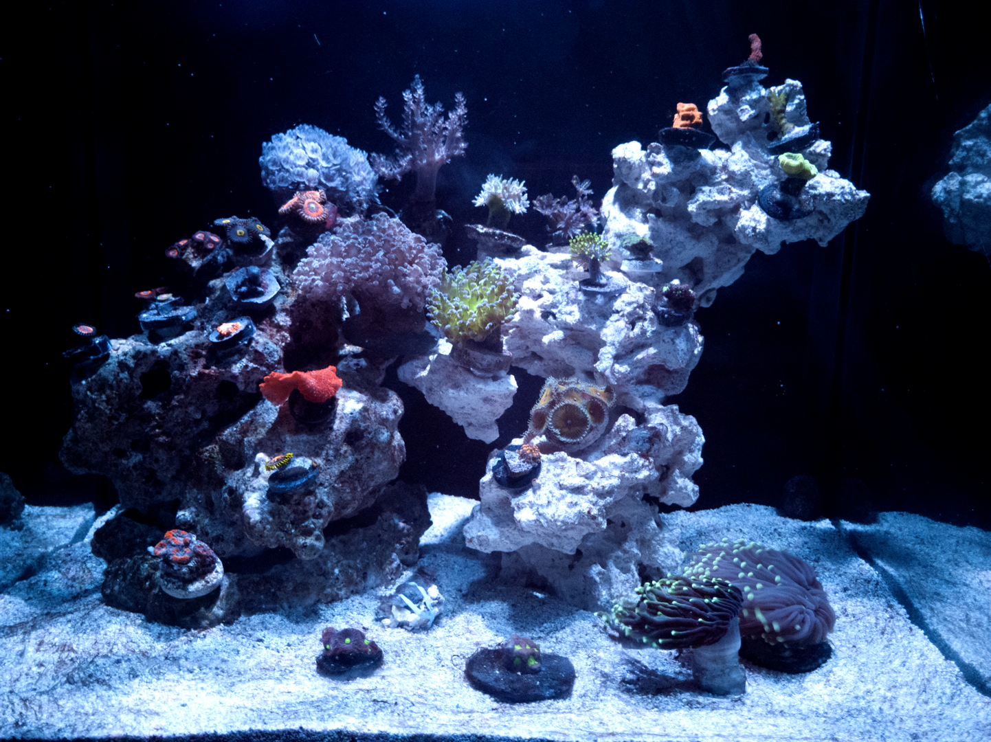 Acuario16092020.