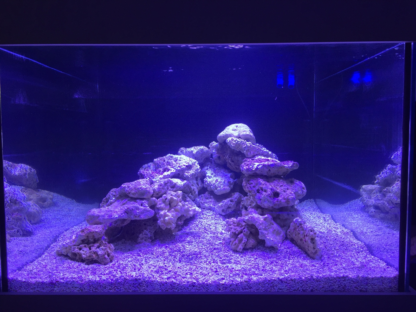 Más de 1000 litros - Cubo 1000l Acorral | Página 7 | Club Acuarios Marinos