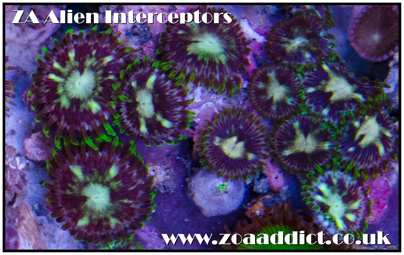 alien interceptors.