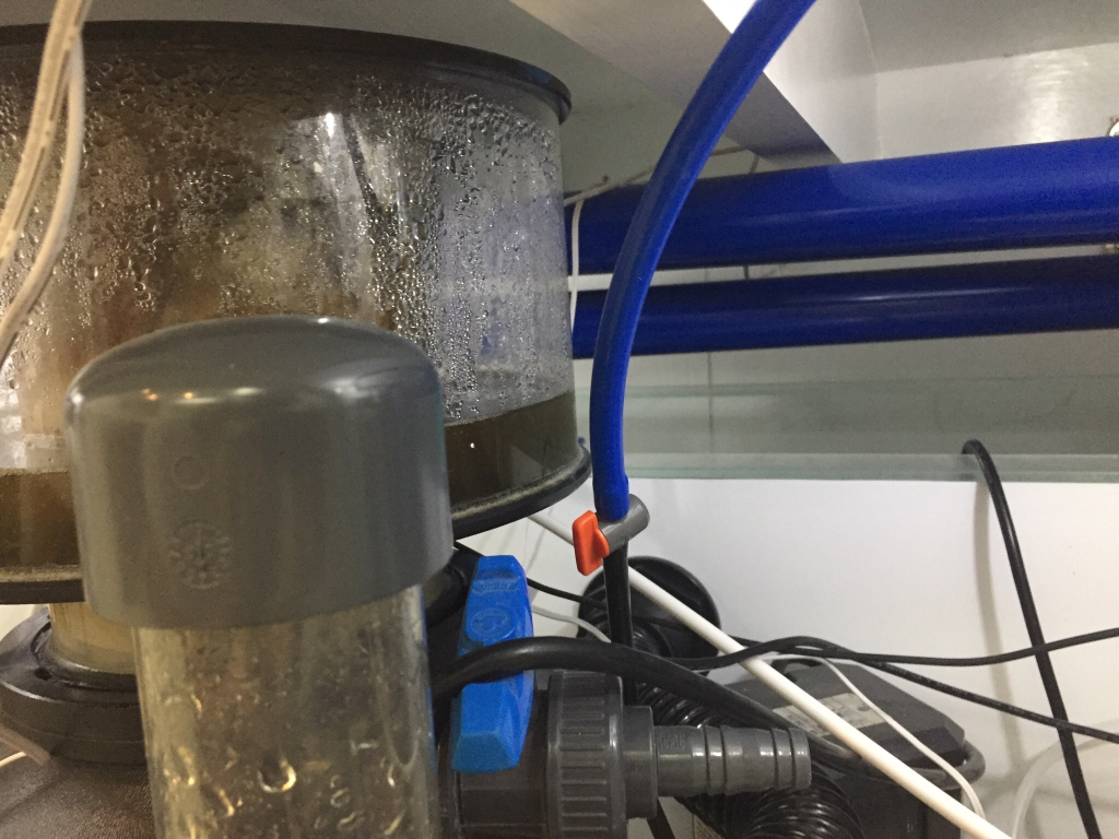 Más de 1000 litros - Cubo 1000l Acorral | Página 8 | Club Acuarios Marinos