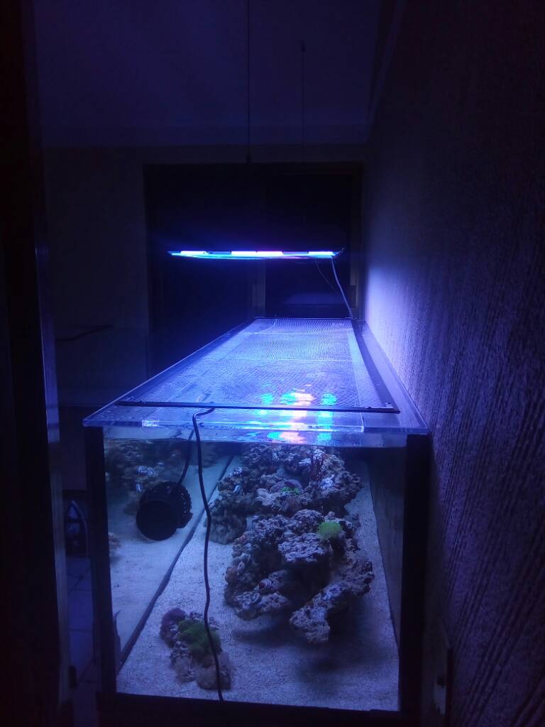 d104ba1e19f2bbcae9752642a112c26c.