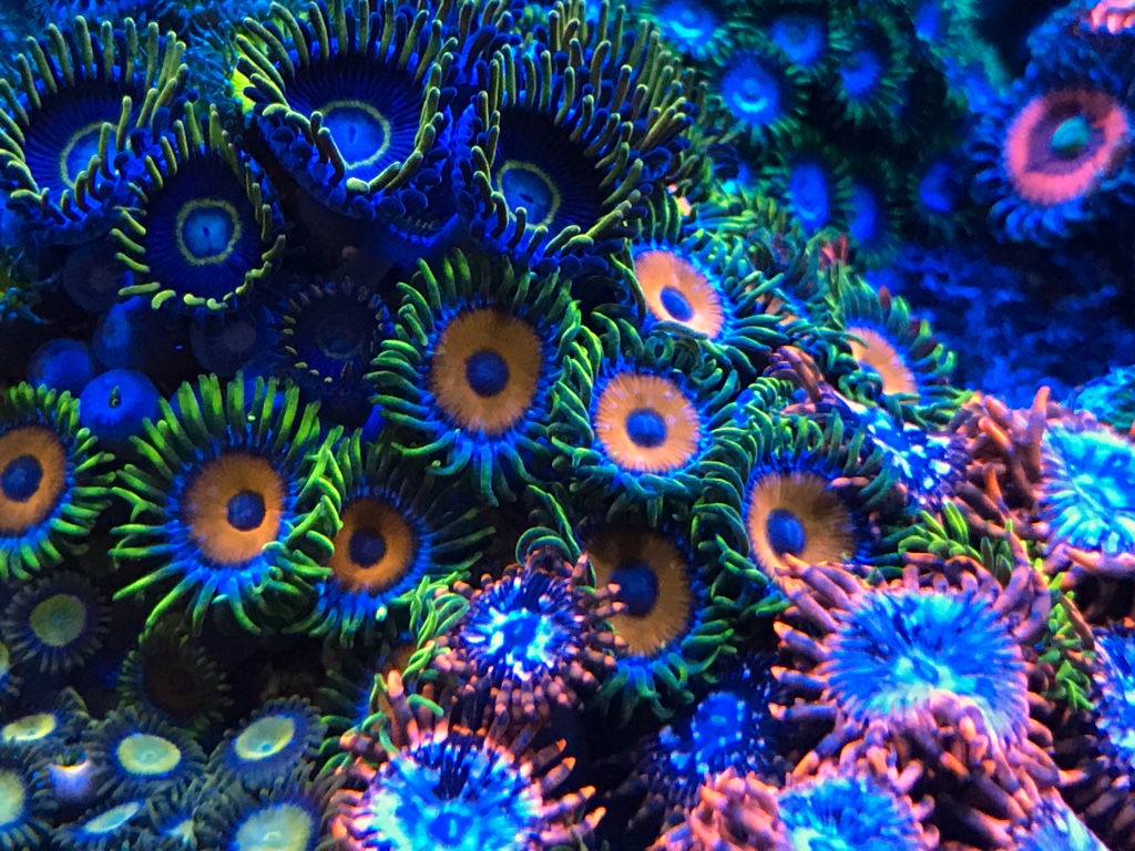 d2c0142c770adf01b3dd7b1f05b16cd1.