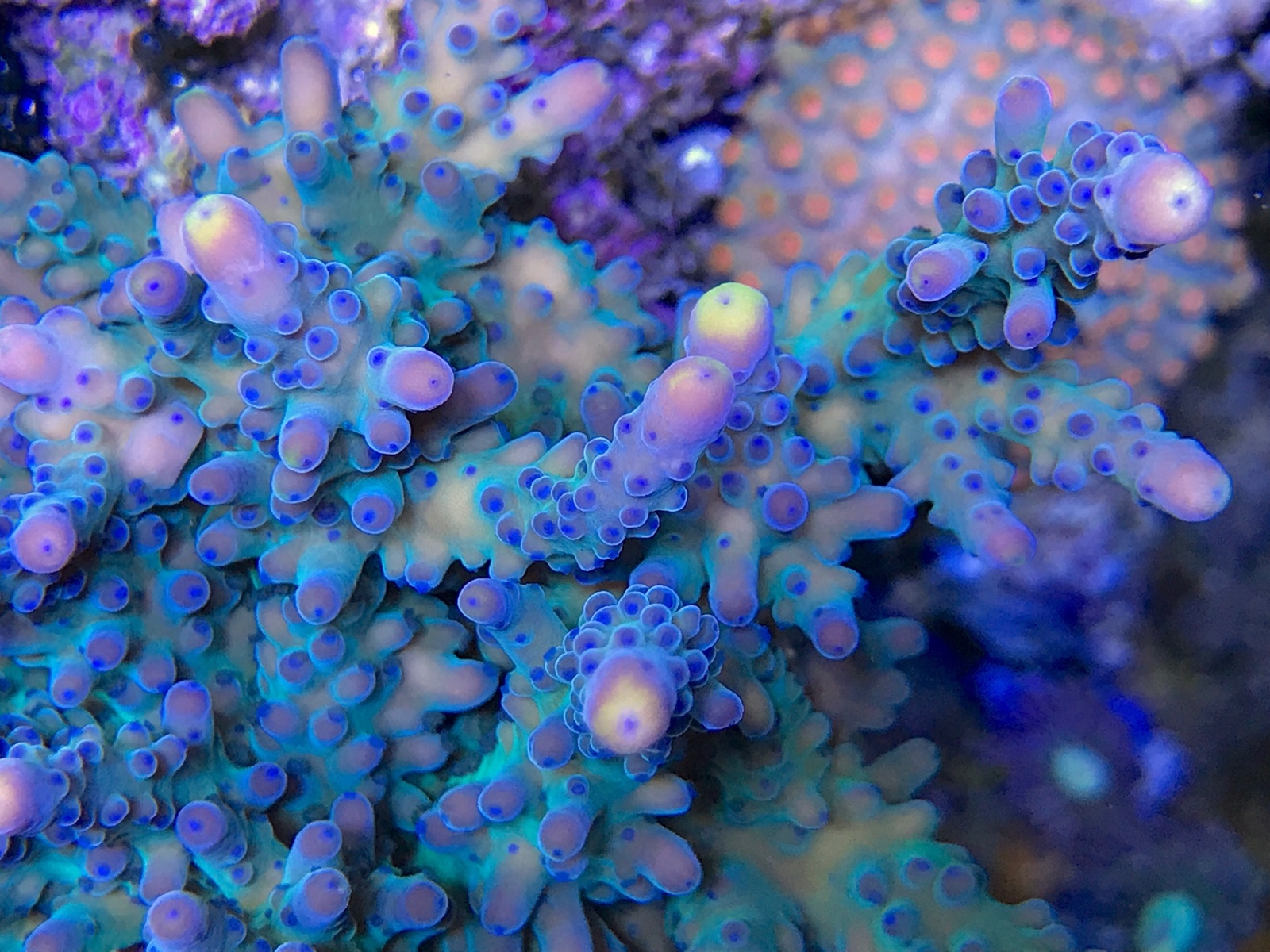d454d6a6c30f608e8eca9680a4b32d3a.