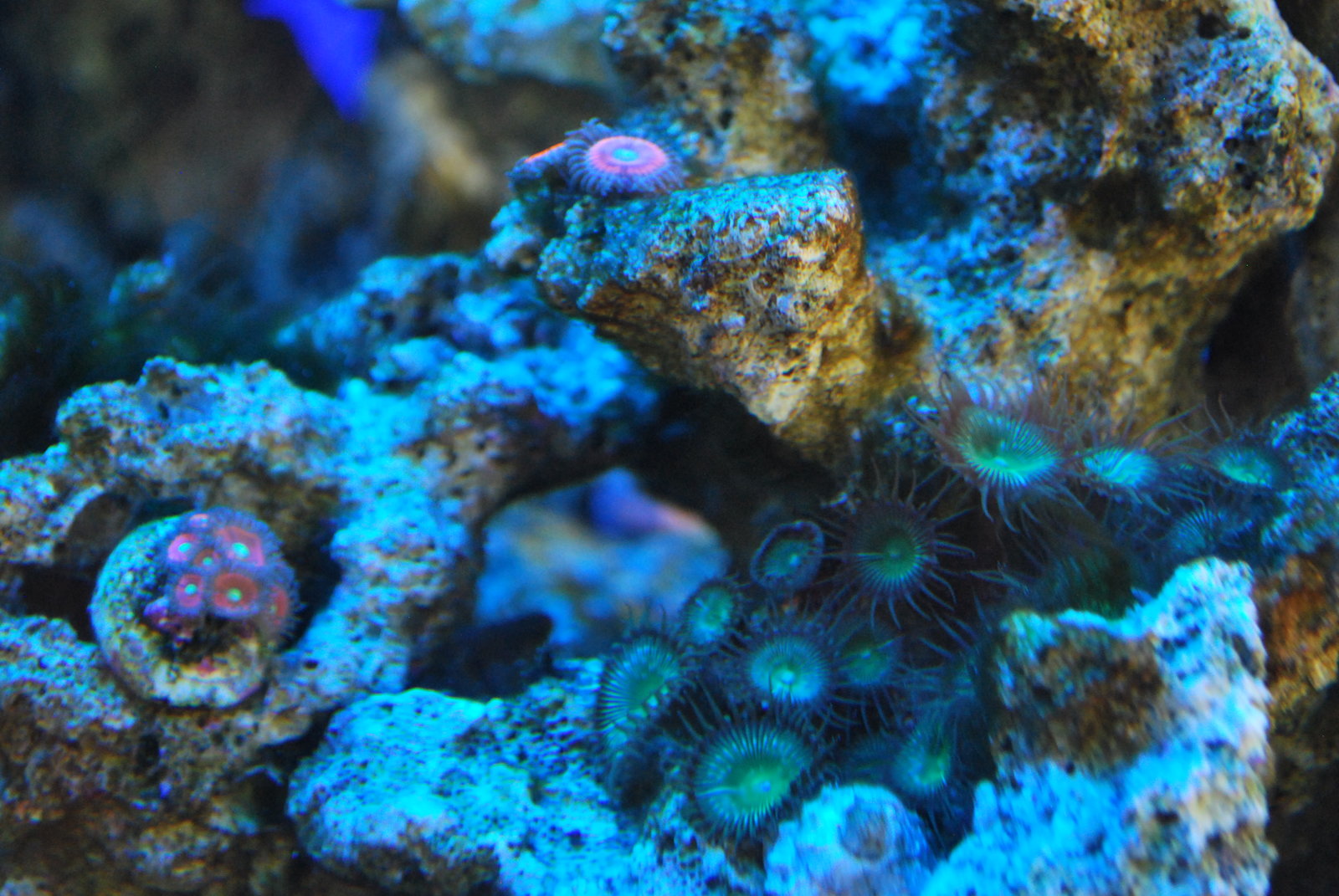 DSC_0084.JPG