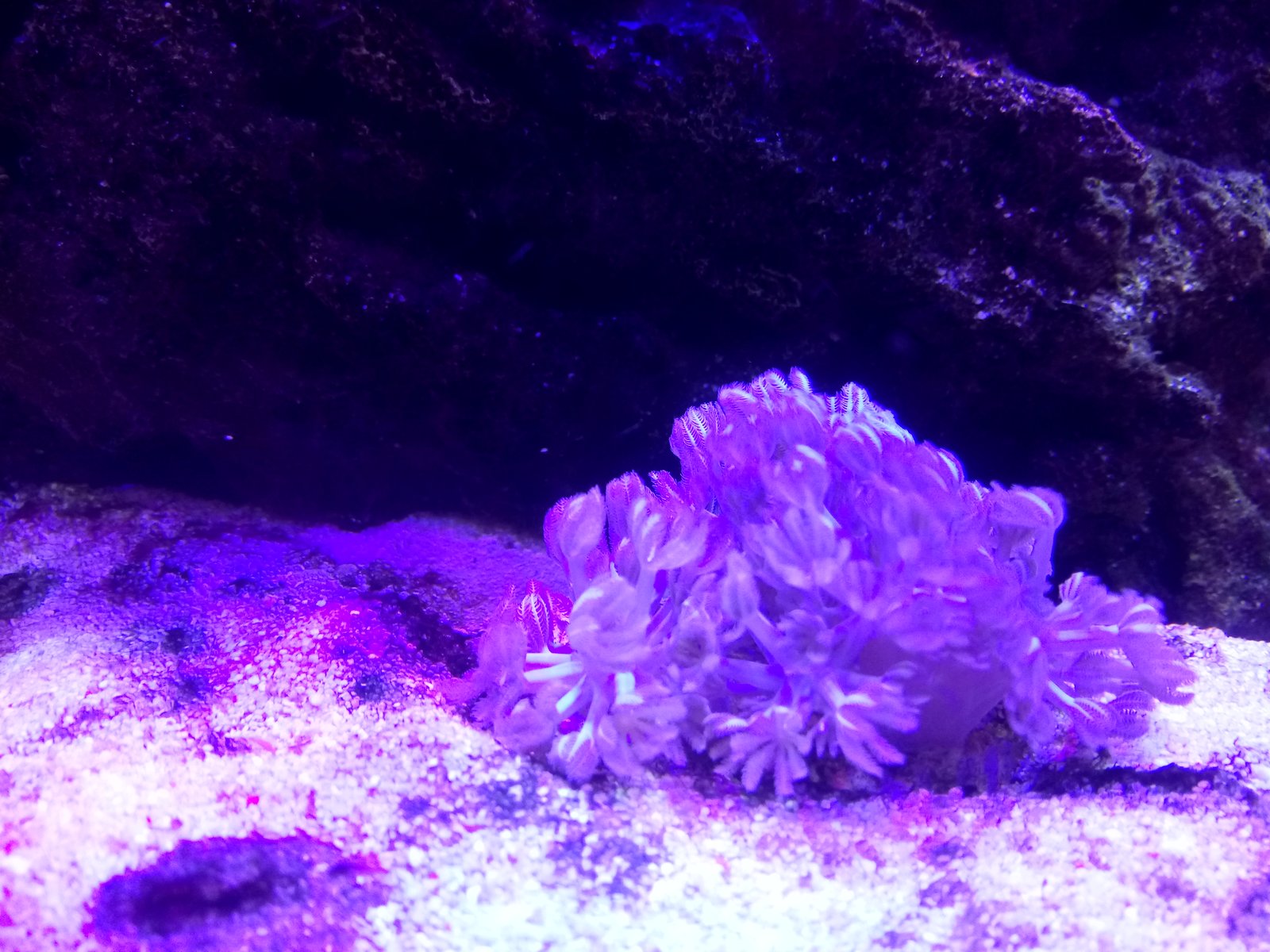 DSC_0181.JPG