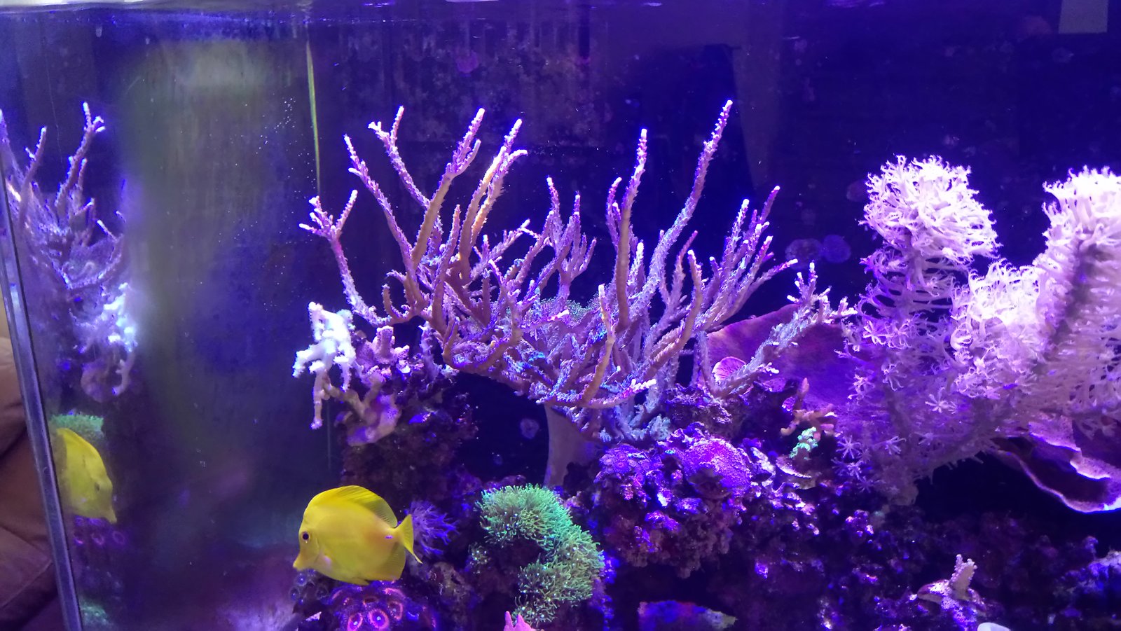 DSC_1273.JPG