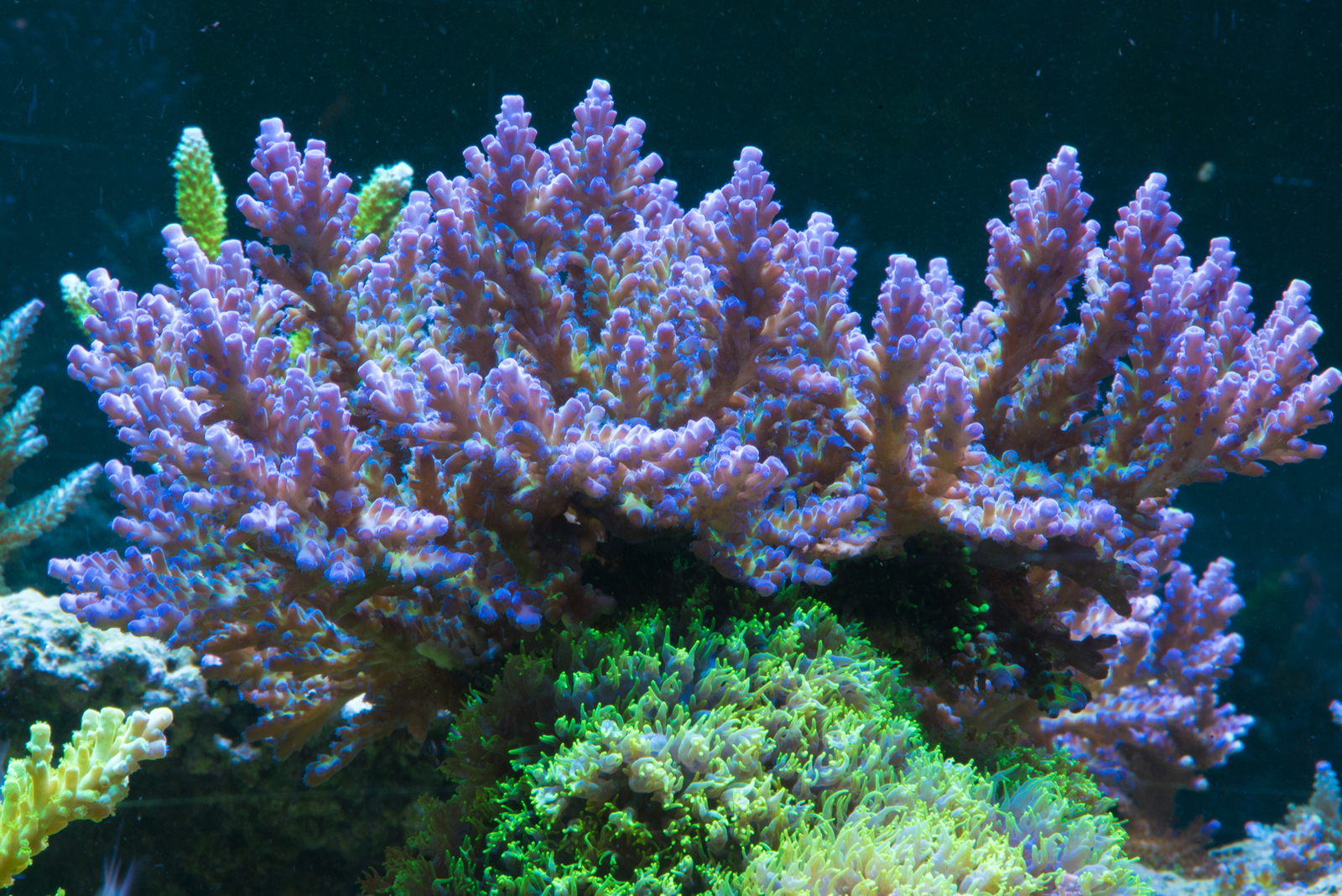 DSC_5763.