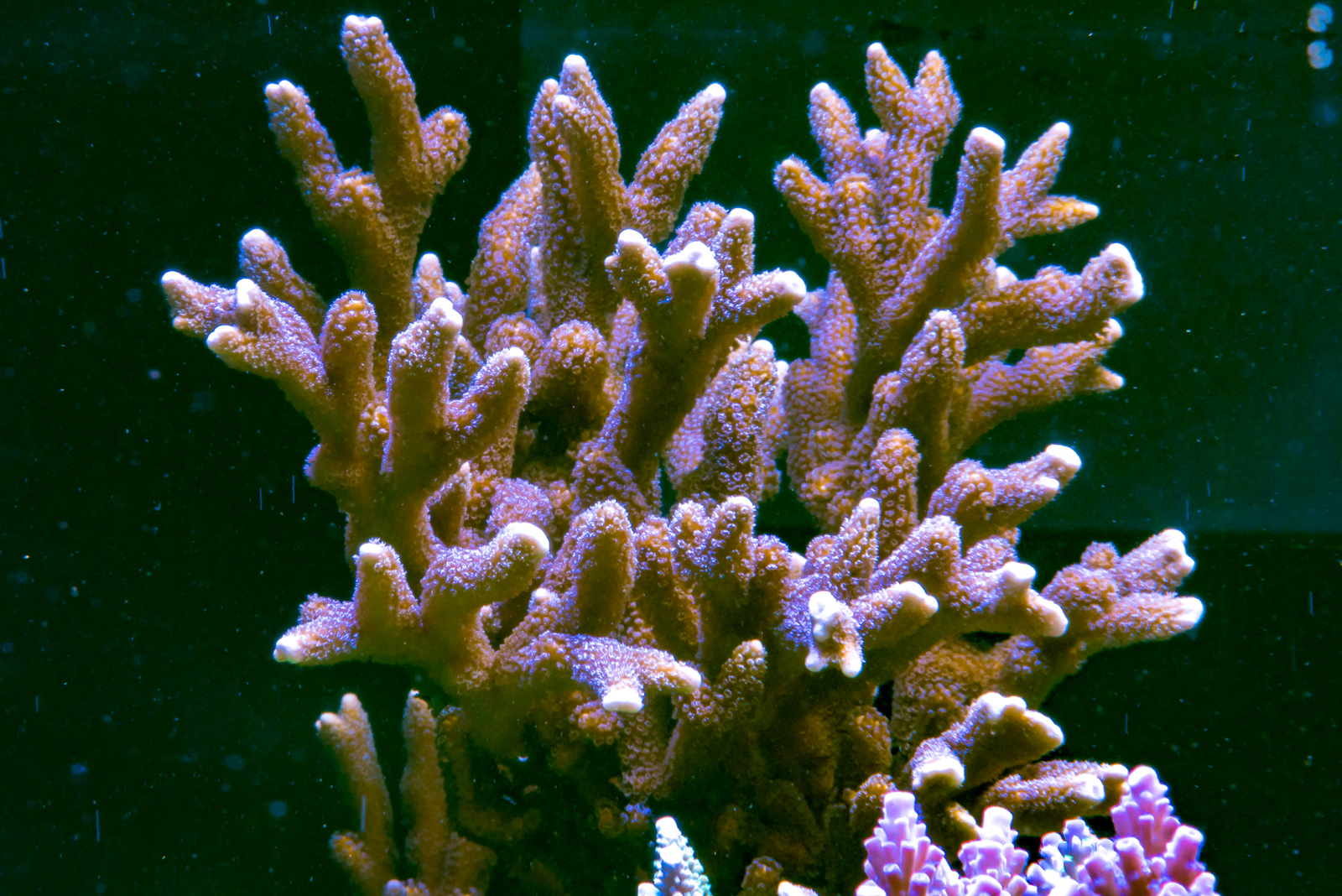 DSC_5789.