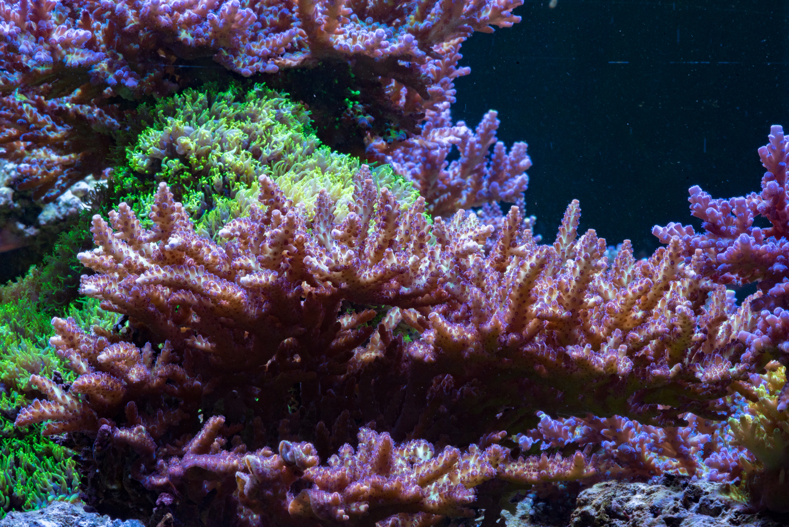 DSC_5791.