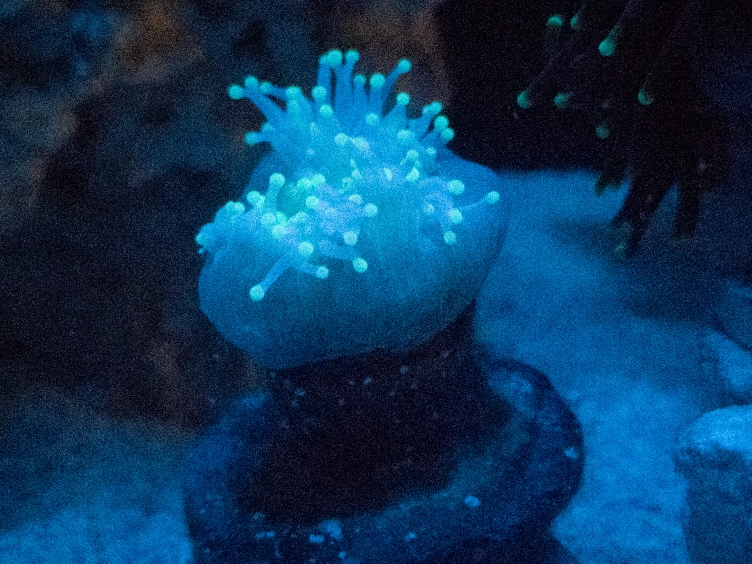 e798056cb43c84e3ec6c8c672b3866ed.
