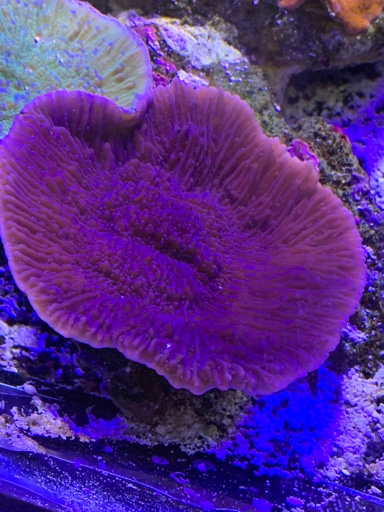 f1c4bce72e3dddd9706cf815a052ac3d.