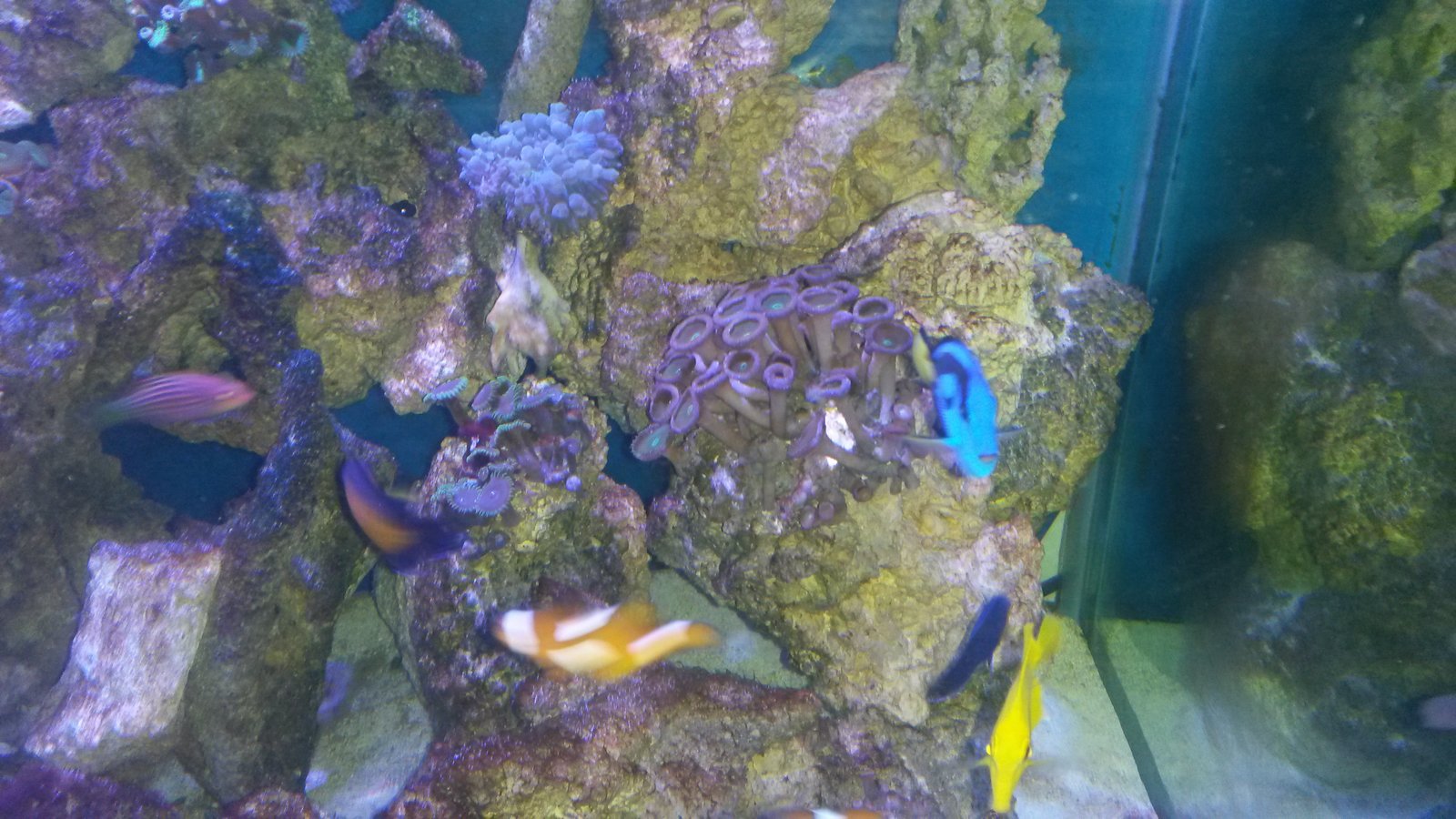 foto3.