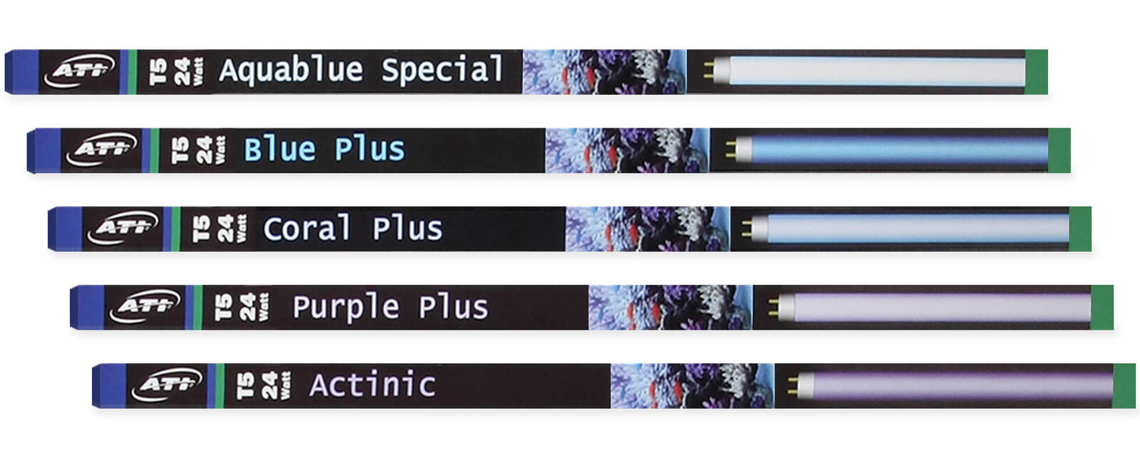 hero-t5-bulbs.