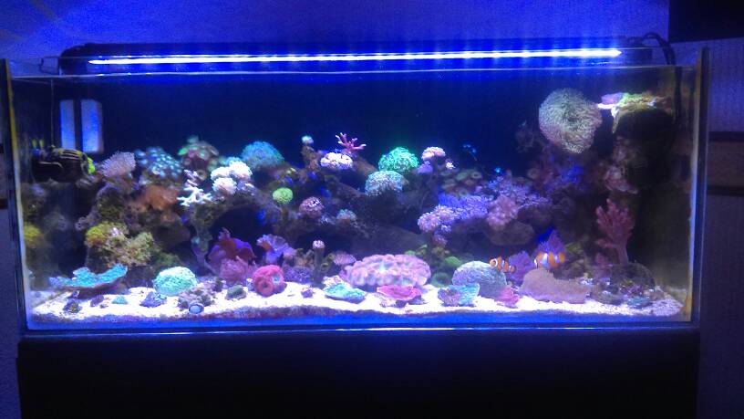 IMAG0307.