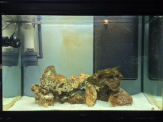 image1 (4).JPG