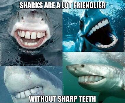 Image1461994427.737535.
