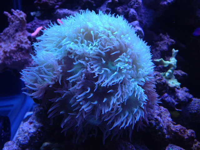 Image1462332821.899083.