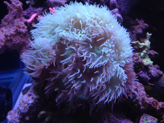 Image1462332830.017412.