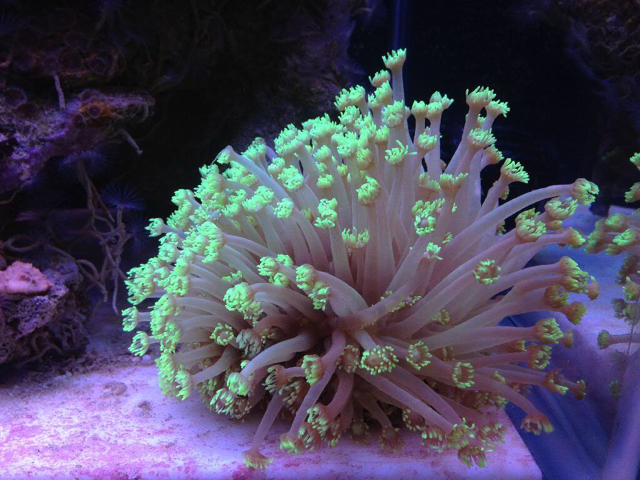 Image1462333262.505056.