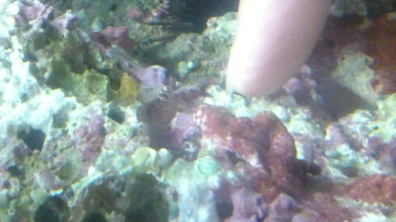 IMG-20160505-WA0003.