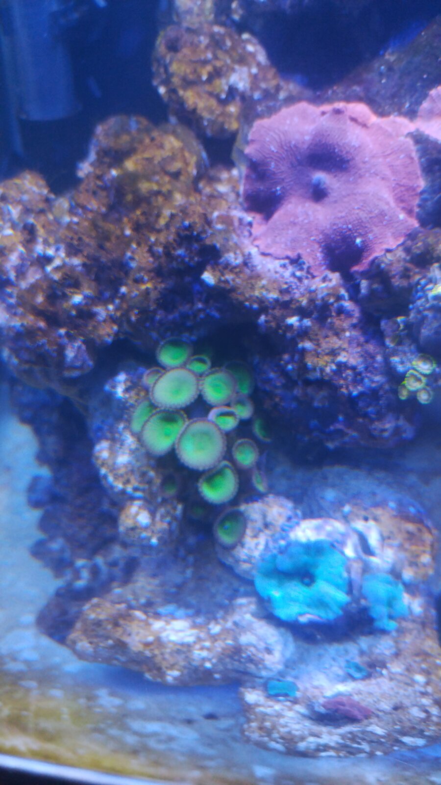 IMG-20231206-WA0045.