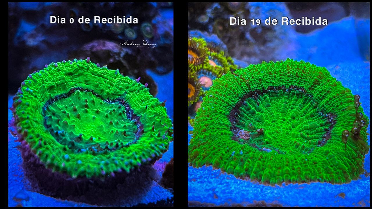 IMG-3063.