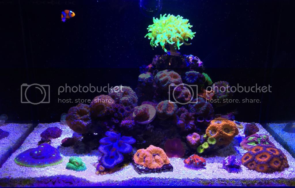 IMG_0608_zpskwiundw8.