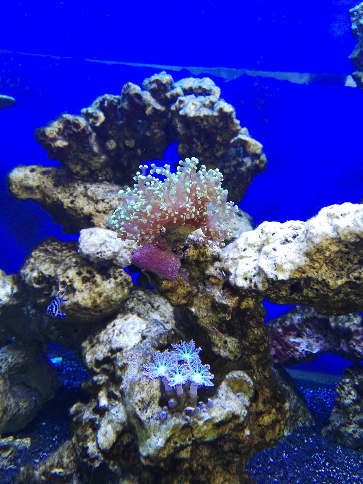 IMG_20170404_115556.