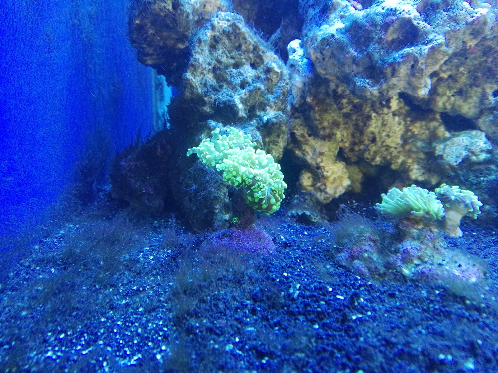 IMG_20170723_131235.