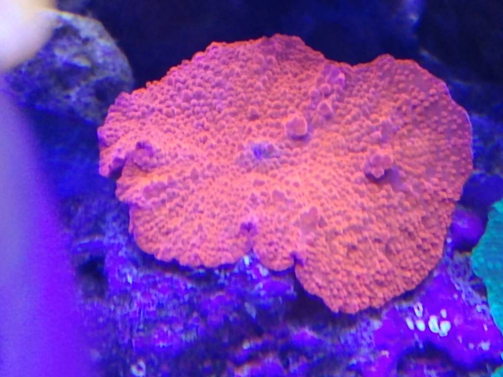 IMG_20200510_215505679.