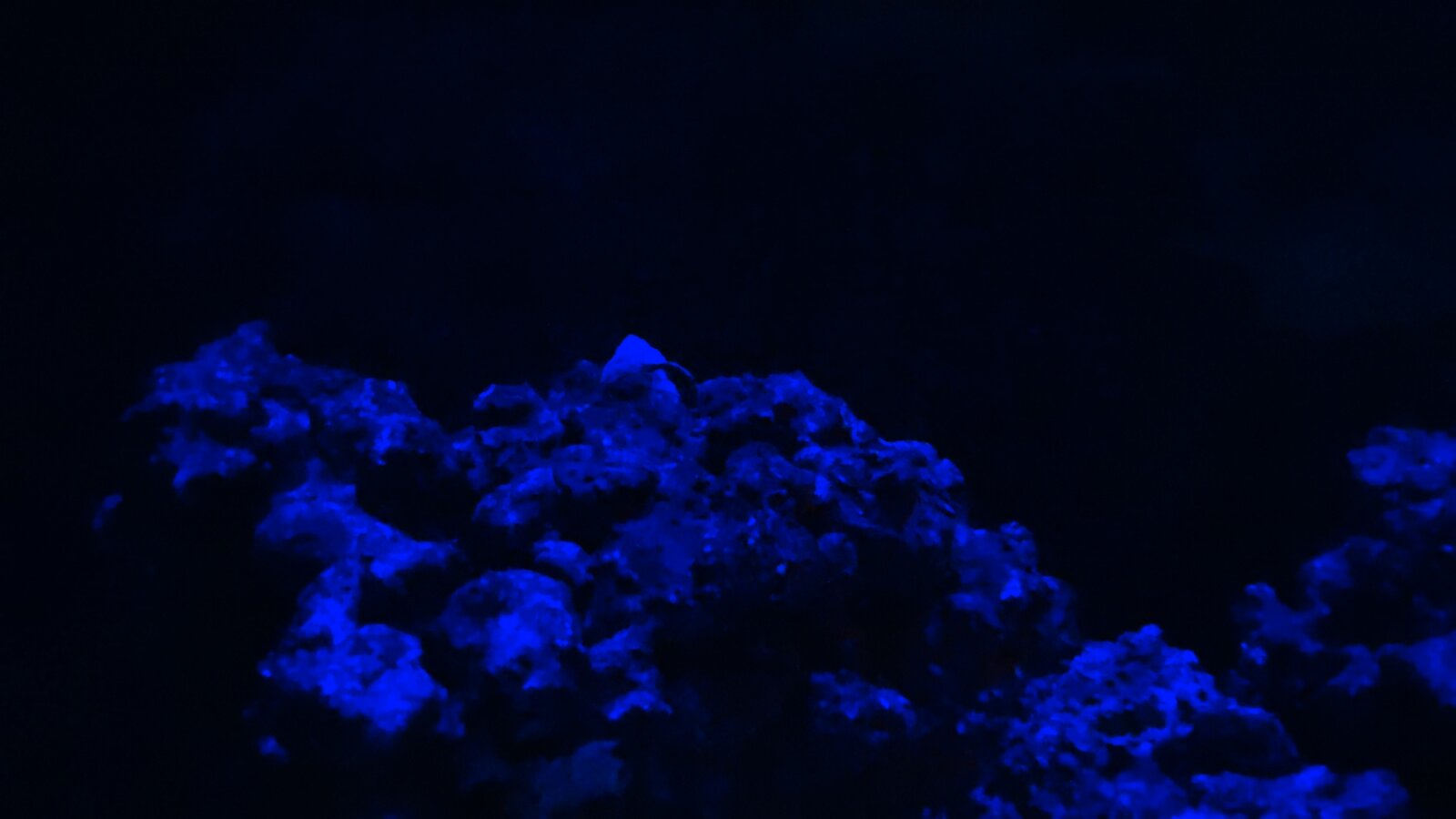 IMG_20201215_210948.