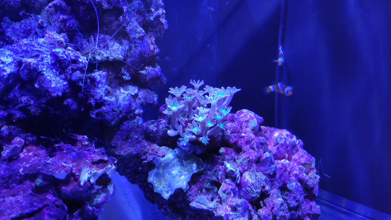 IMG_20210318_141132.