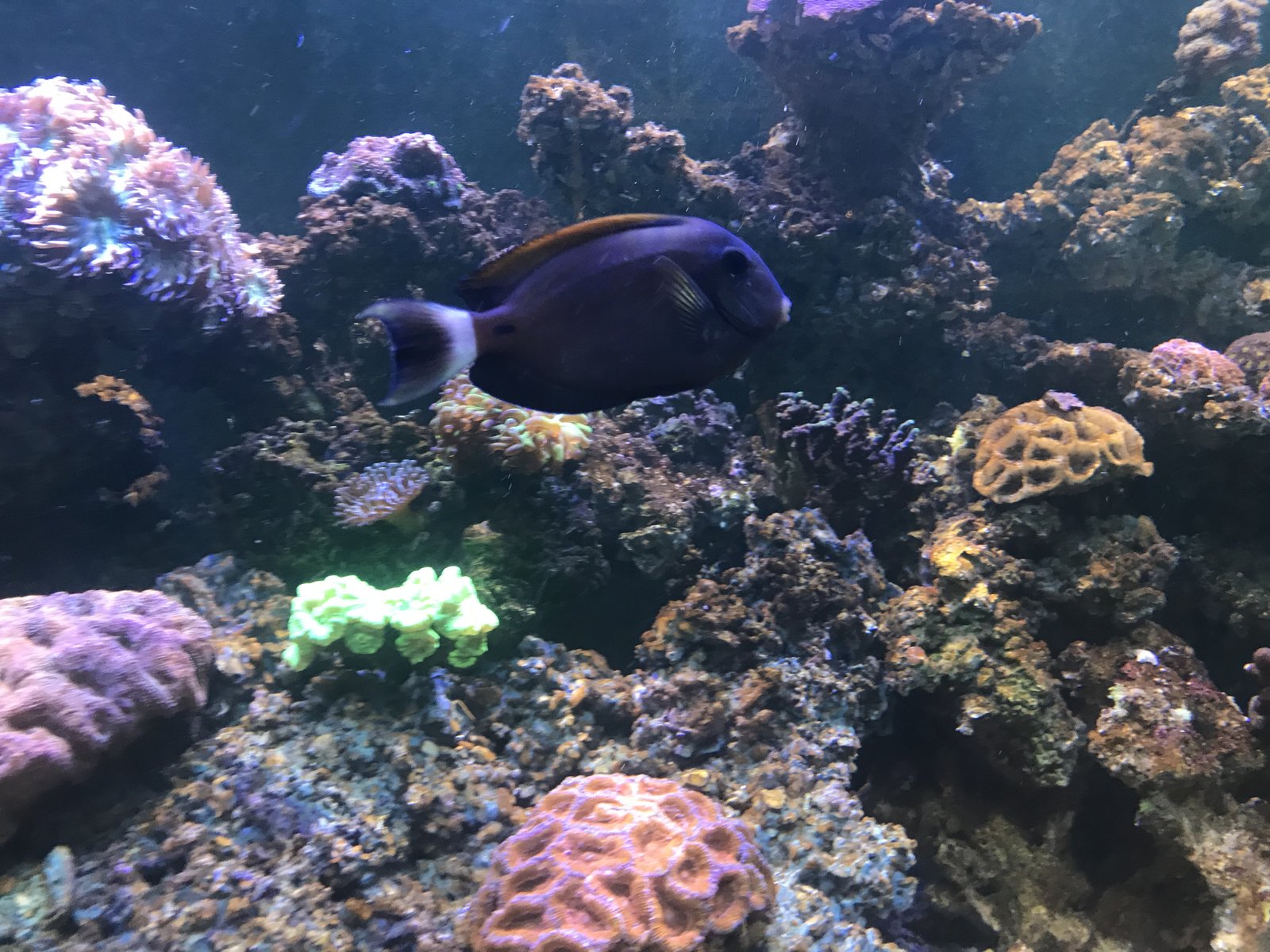 IMG_3391.JPG