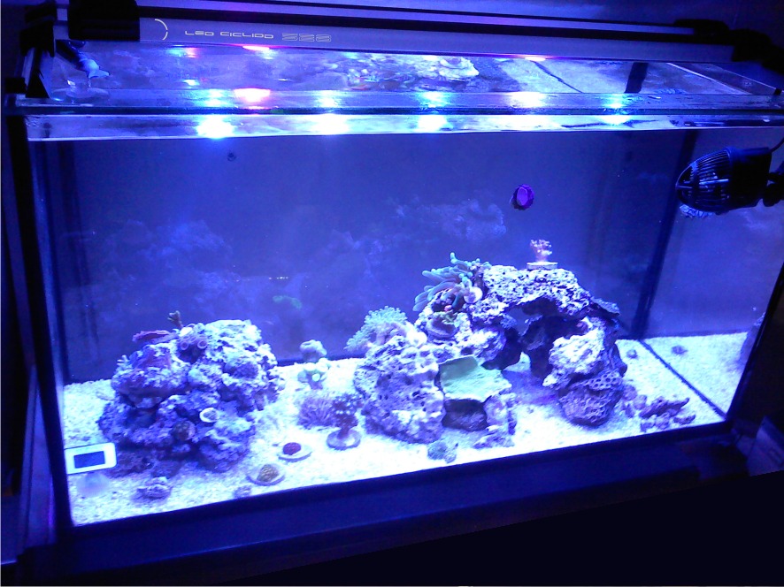 la iluminacion | Club