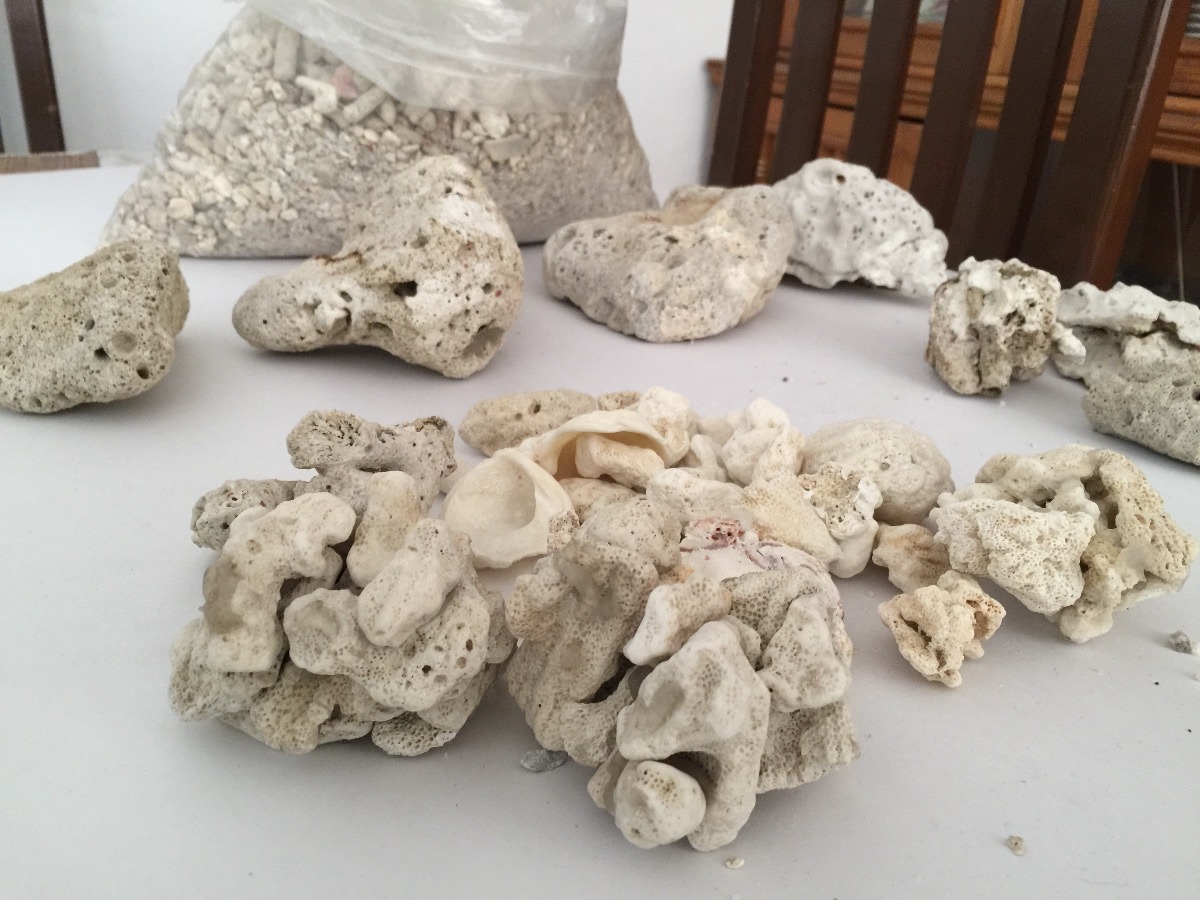oca-o-piedra-de-coral-natural-para-acuario-marino-x-pieza-D_NQ_NP_880267-MLM28011372085_082018-F.