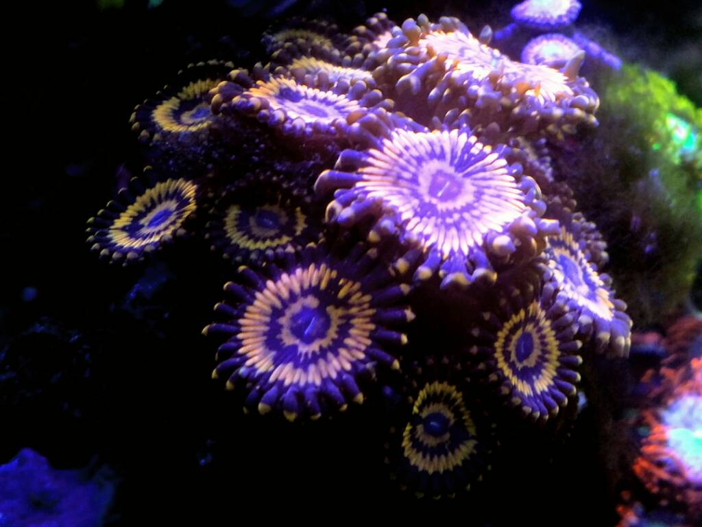 PicsArt_09-14-11.40.30.