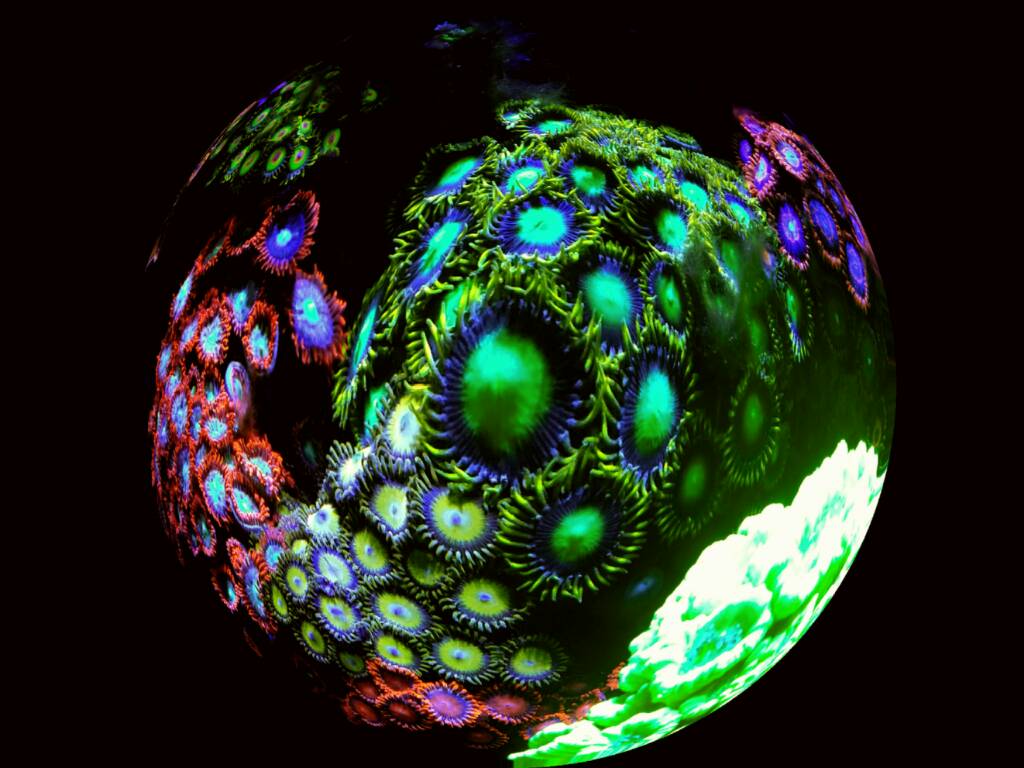 PicsArt_11-09-09.37.23.