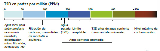 regla.